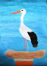 Krausová Alžbeta.jpg